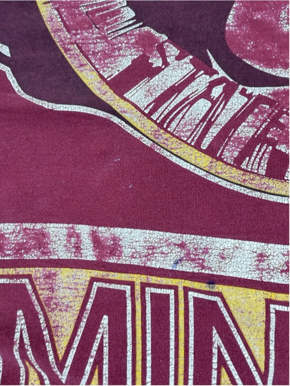Vintage Salem Sportswear Men's Size XL Florida State Seminoles AOP Graphic Tee - Picture 9 of 16